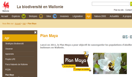 thumbnail - Plan Maya - Service Public de Wallonie